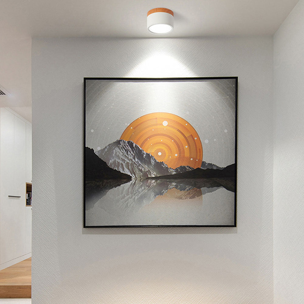 Ceiling Light Aluminium Compact Integrated LED White and Warm Light Black Pink Blue Green Grey 1
