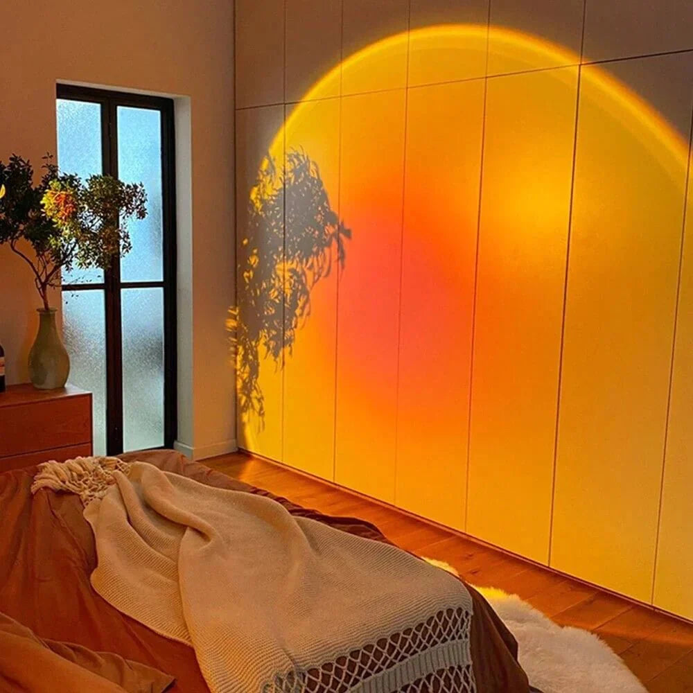 Ceiling Light LED Rotatable Adjustable 13 Light Modes Minimalist Bedroom and Living Room Plug In 0